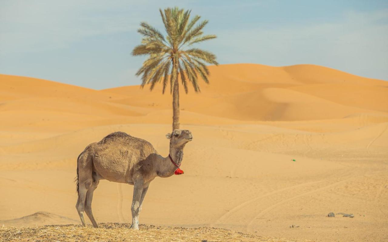 Ali & Sara'S Desert Palace Merzouga Exterior photo